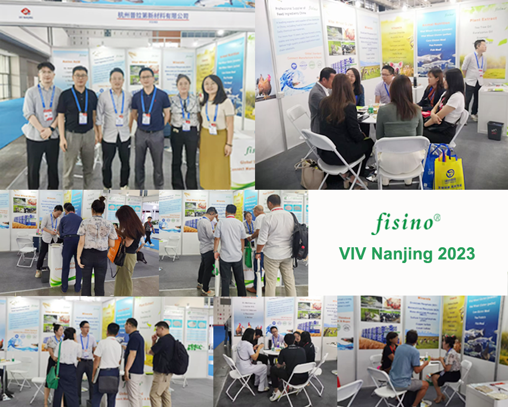 VIV nanjing 2023 FISINO photo.png